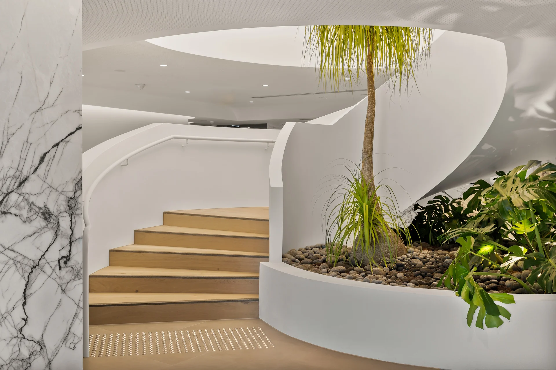 StudioBlackardt-LowryGroup-BrisbaneRadiology-03-Edit