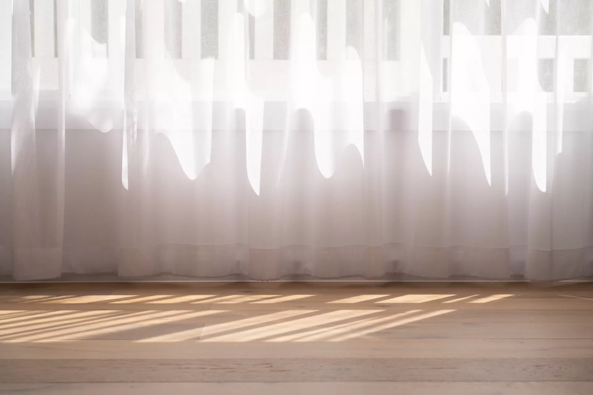 dsc09384-690d601f8d683